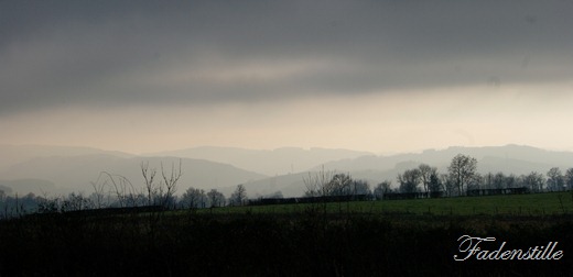 SONY DSC