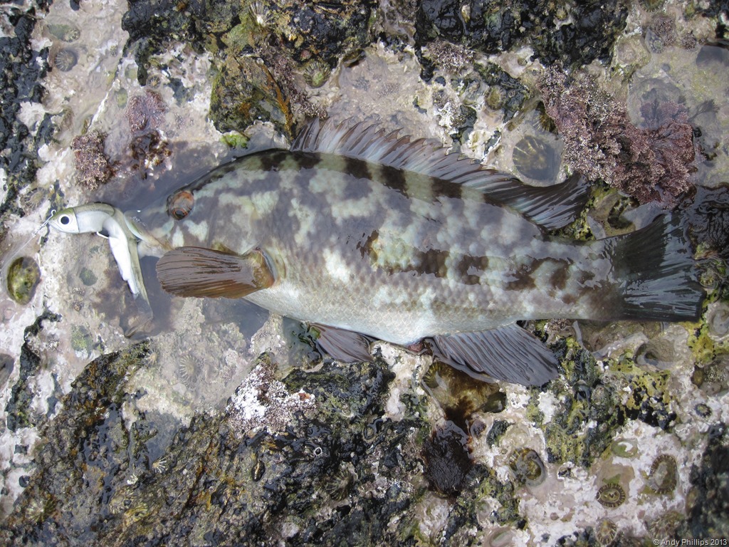 [IMG_1412%255B9%255D.jpg]