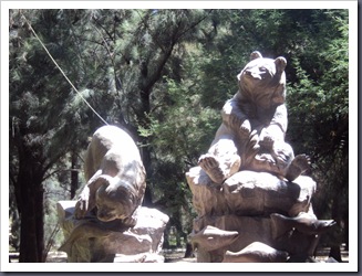 zoo 1