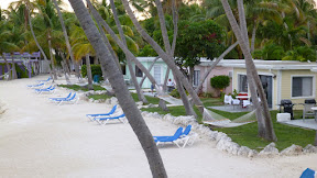P1000035.JPG