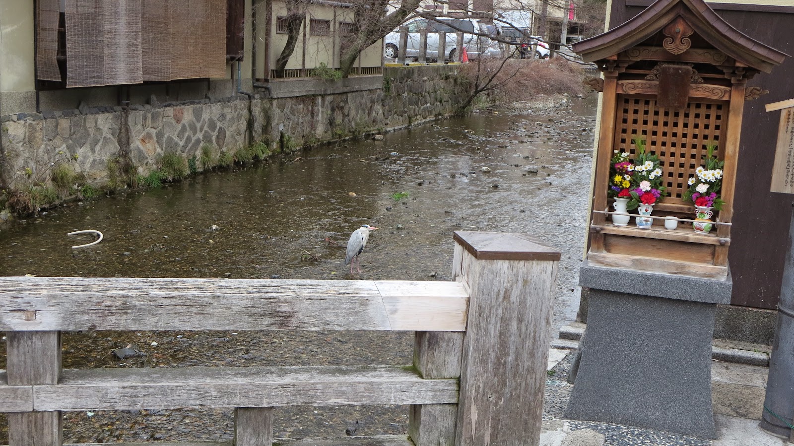 [IMG_1910%255B3%255D.jpg]