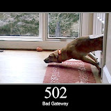 502.jpg