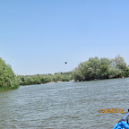 IMG_7710.JPG