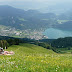 05jul-Hallstatt03.jpg