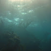  Scuba Dive Buck Island Reef