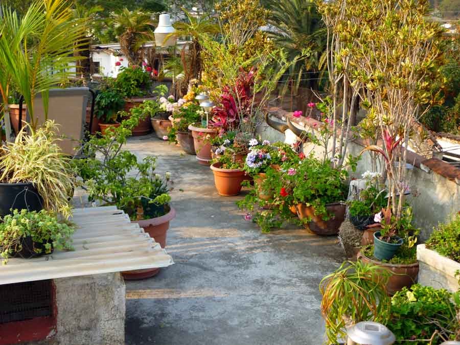[Casa-Cristina-Roof-Garden%255B2%255D.jpg]