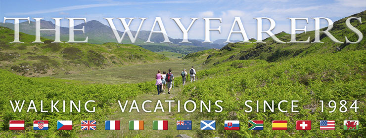 wwwWAYF-SINCE-1984_2.jpg