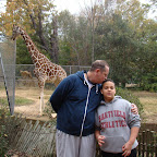 jackson-zoo_nov-2012