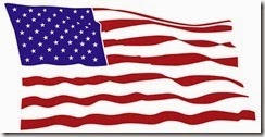 USA flag USA flag