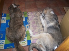 Imagen 121 Imagen 121
