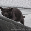 IMG_2752.JPG