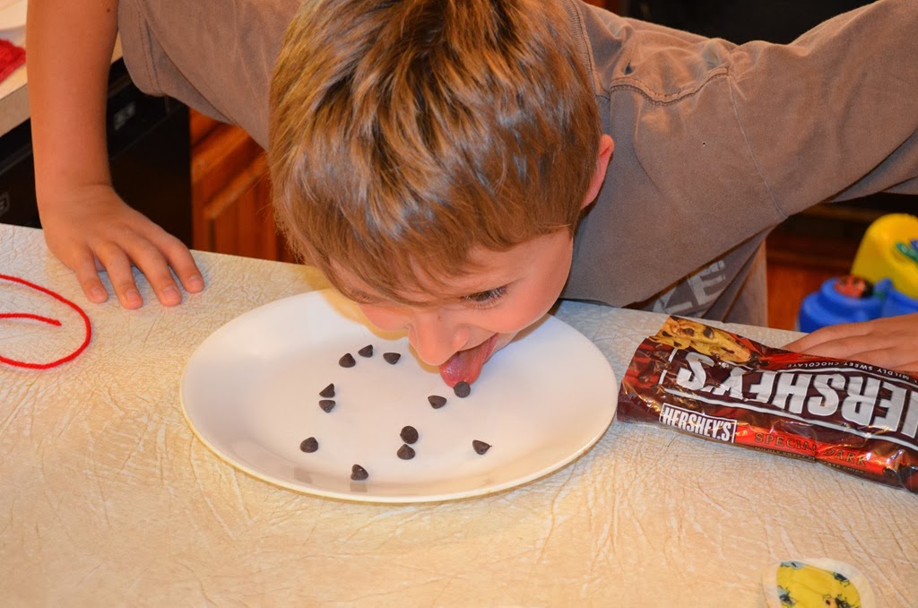 [DSC_5403%255B6%255D.jpg]