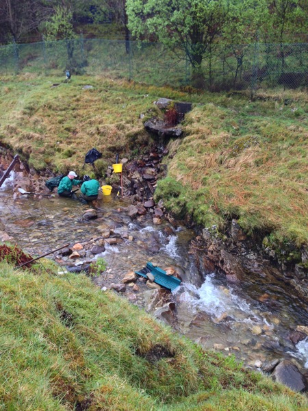 Gold Panning in Scotland.jpg