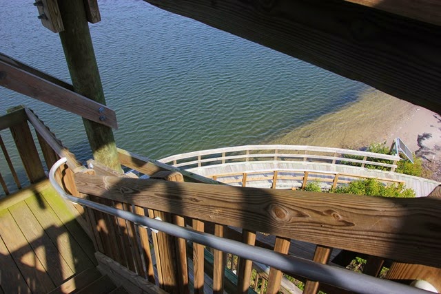 Robinson Preserve Observation Tower2