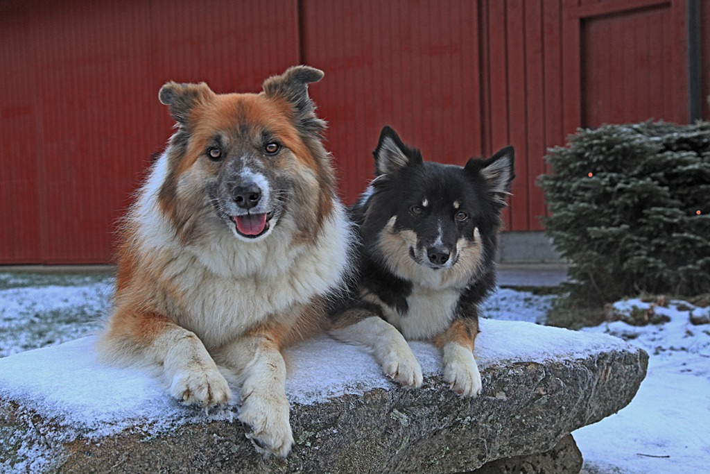[08des2011_julebilder_5594%255B4%255D.jpg]