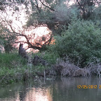 IMG_7917.JPG