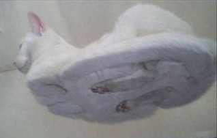 [kattoffla%255B7%255D.jpg]