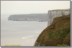 Bempton Cliffs - 1st Visit for 2013