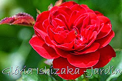 3  - Glória Ishizaka - Rosas do Jardim Botânico Nagai - Osaka