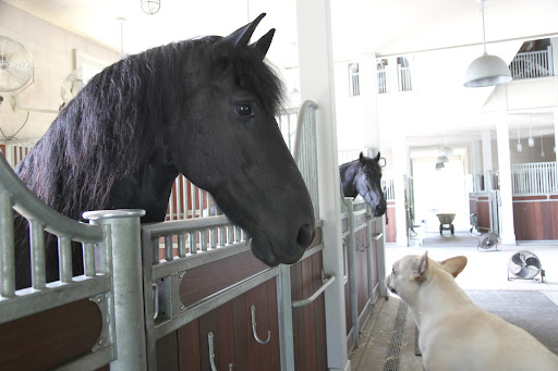 Hey Rinze and Meindert, what's going on in here?  Where are Rutger and Ramon?