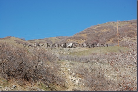DSC_0956 DSC_0956
