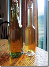 Fennel Vin 002