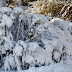 2011-12 First Winter Storm 1010.jpg