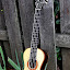 Panormo uke 
By Kerry Char