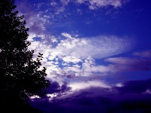 [674801_blue4.jpg]
