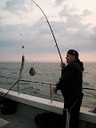 Image51.jpg