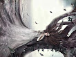 Soul Of Tree