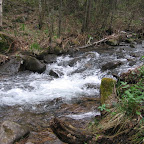 IMG_1932.jpg