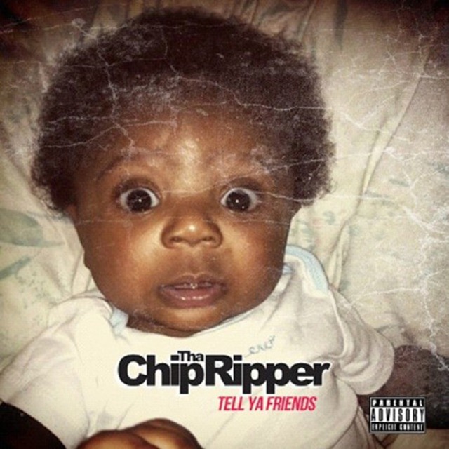 chip1
