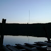 dsc04319.jpg