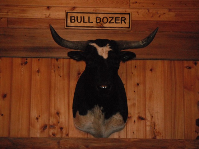 [bull%2520dozer%255B2%255D.jpg]