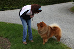 Fortunately, my breed is very intelligent and patient!  I'm catching on in no time!