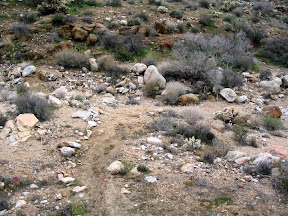 Where's the trail ?