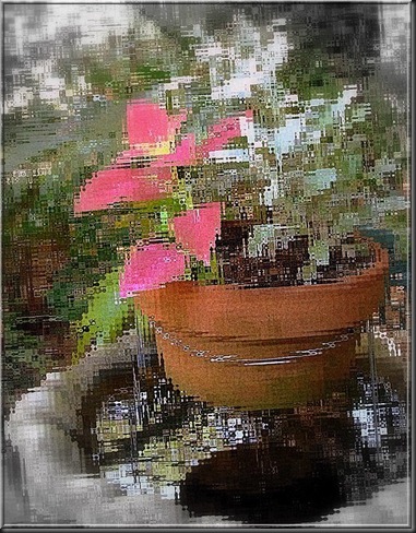 2011-10-5