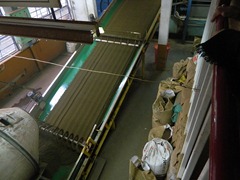 DSCN0398 DSCN0398