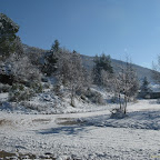 2011-12-20 (2).jpg