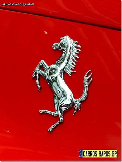 Ferrari 458 Italia (13)