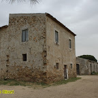 ex pistacchieto Monte Sara - foto di Domenico Oliveri