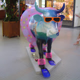 Europe Trip - Cows - cow17.JPG