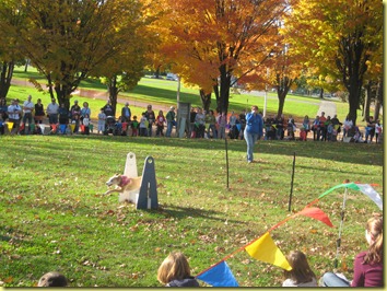 IMG_2130 IMG_2130