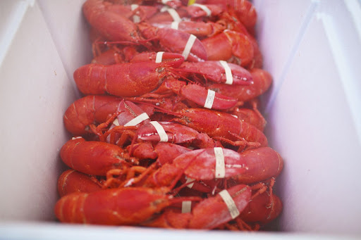 Sam's Great Northern Lobster Bakes catered the rehearsal dinner. (samslobsterbakes.com)