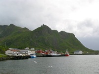 IMG_5496 IMG_5496