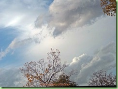 sky101_0007