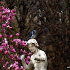 20100402_107.JPG