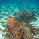 UnderwaterGrandAnseDArlet UnderwaterGrandAnseDArlet