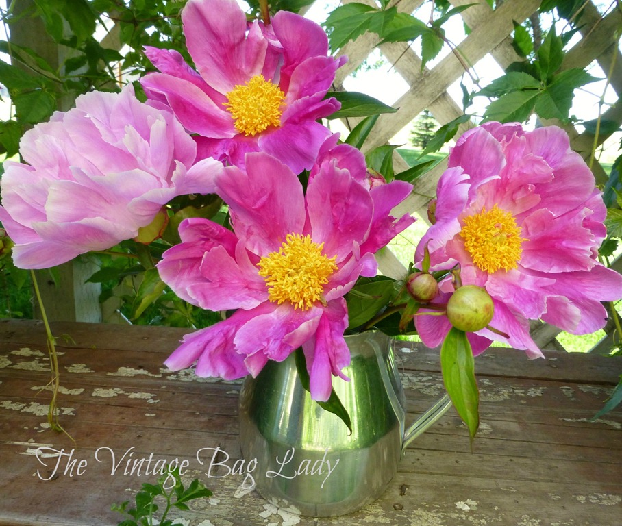 [flowers-0054.jpg]